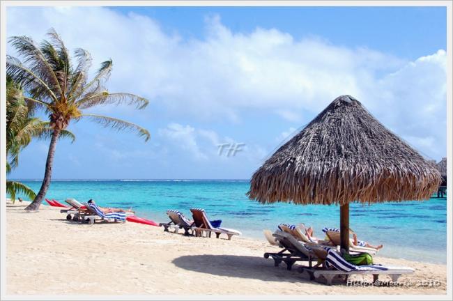 Moorea003.JPG